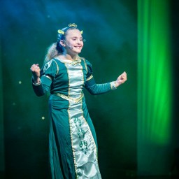 Shrek The Musical