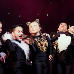 Cats
